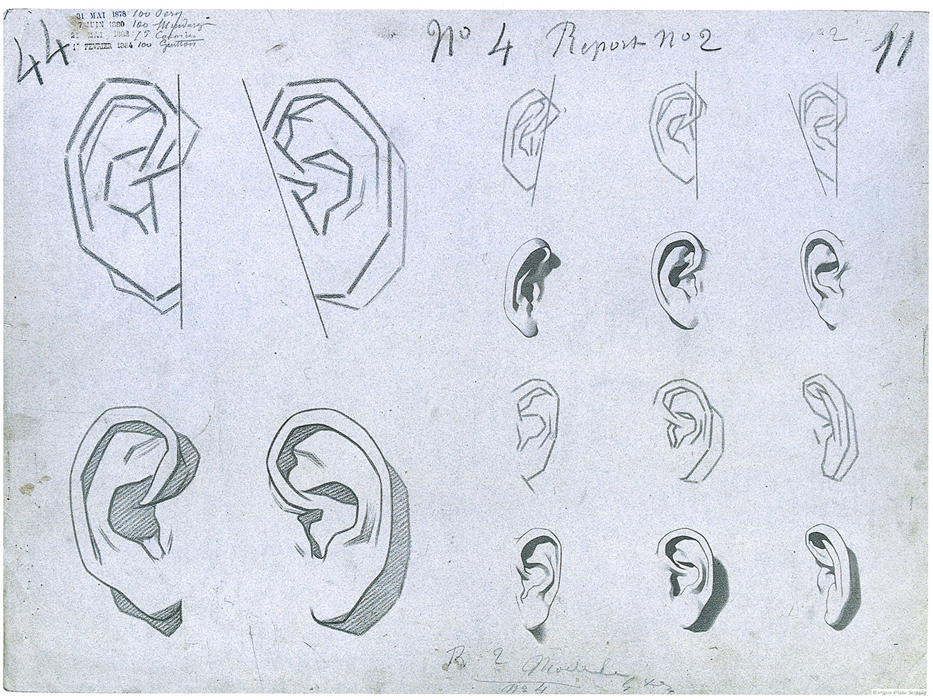 Bargue Plate 1, 4. Ears (Oreilles)
