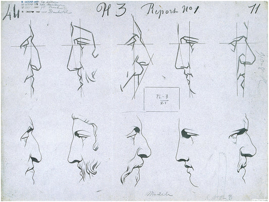 Bargue Plate 1, 3. Noses (Nez)