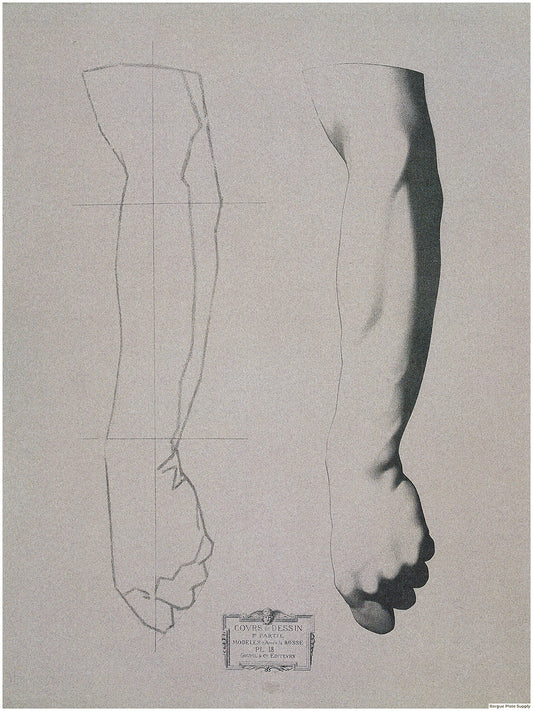 Bargue Plate 1, 18. Arm of a Man, Vertical Position (Bras d'homme, Vertical)