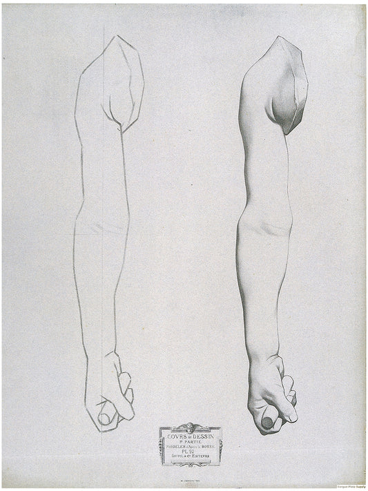 Bargue Plate 1, 20. Child's Arm, Interior View (Bras d'enfant, Intérieur)