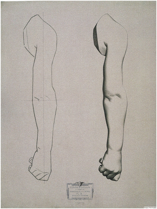 Bargue Plate 1, 21. Child's Arm, Exterior View (Bras d'enfant, Entérieur)