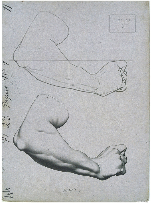 Bargue Plate 1, 23. Man's Arm, Bent (Bras d'homme, Ployé, Entérieur)