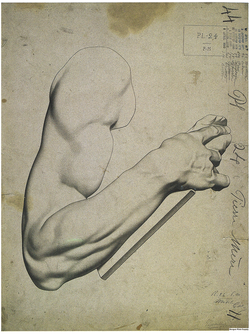 Bargue Plate 1, 24. Arm of Moses, by Michelangelo (Bras du Moïse de Michel-Ange)