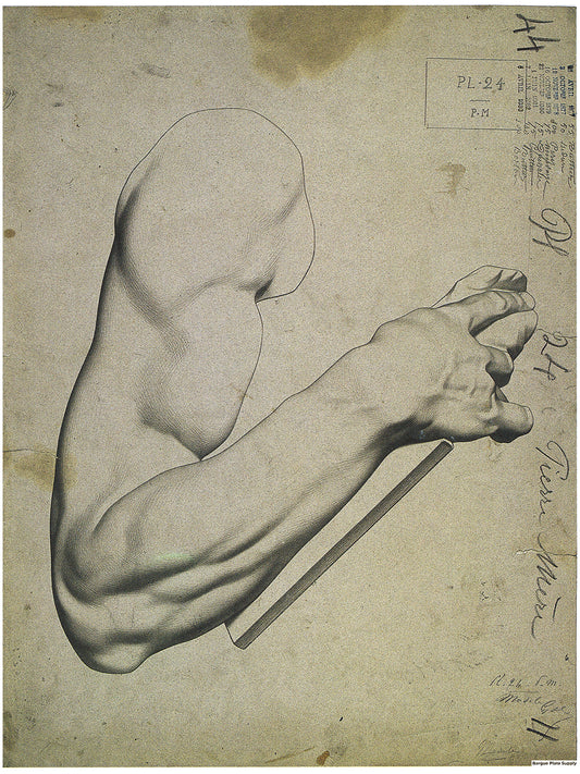 Bargue Plate 1, 24. Arm of Moses, by Michelangelo (Bras du Moïse de Michel-Ange)