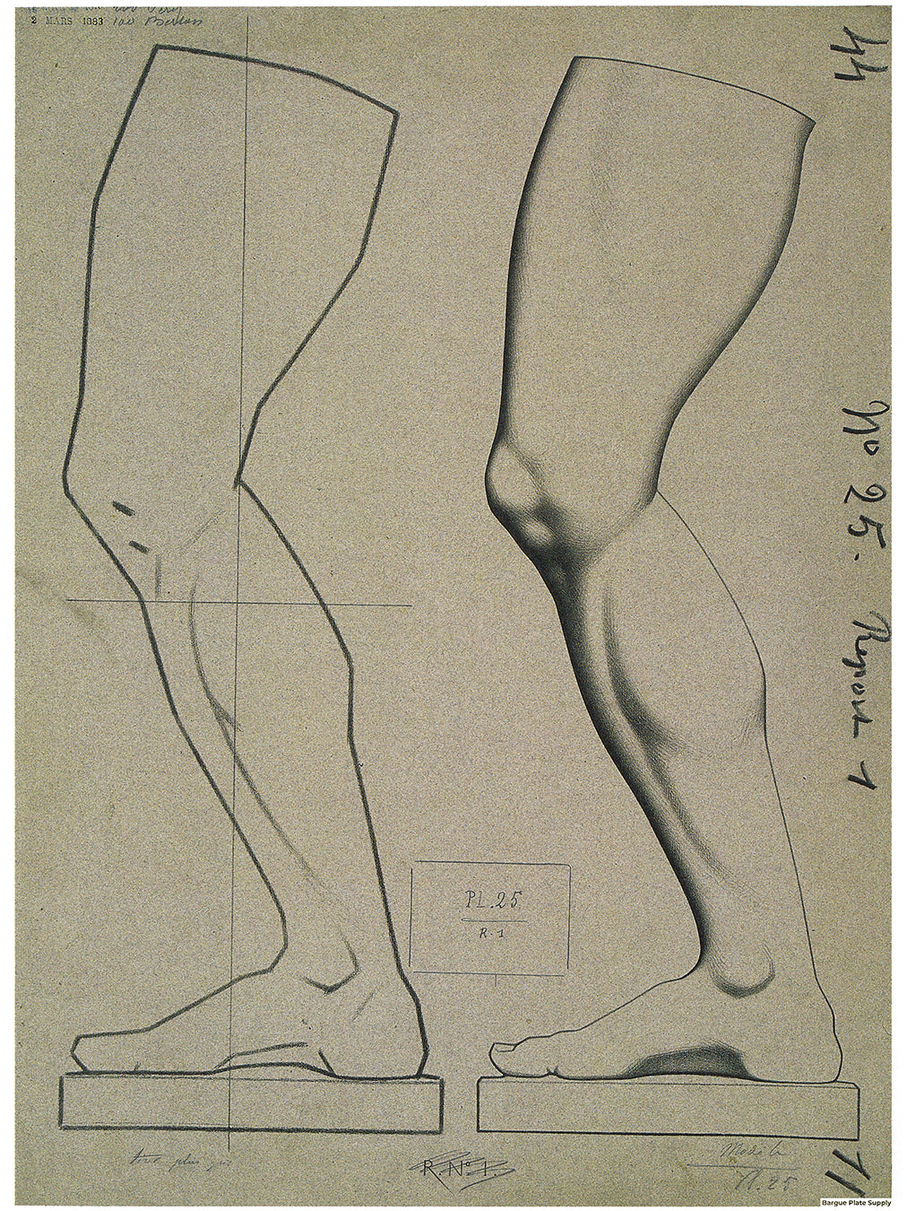 Bargue Plate 1, 25. Leg of Germanicus in Profile (Jambe du Germanicus, Profil)