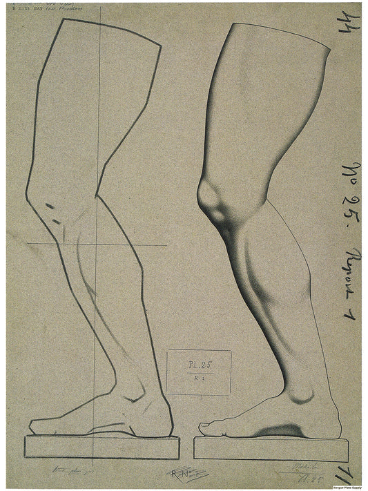 Bargue Plate 1, 25. Leg of Germanicus in Profile (Jambe du Germanicus, Profil)