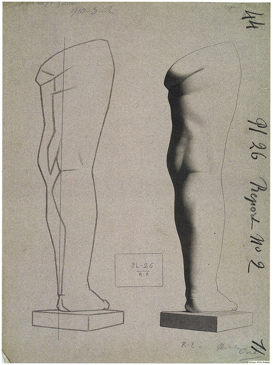 Bargue Plate 1, 26. Child's Leg, Rear View (Jambe d'enfant)