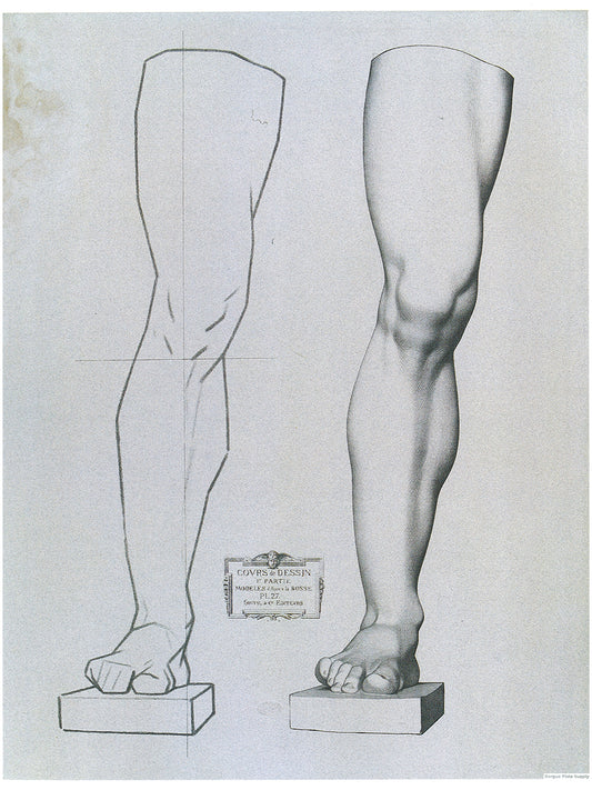 Bargue Plate 1, 27. Leg of Germanicus, Front View (Jambe du Germanicus, Face)