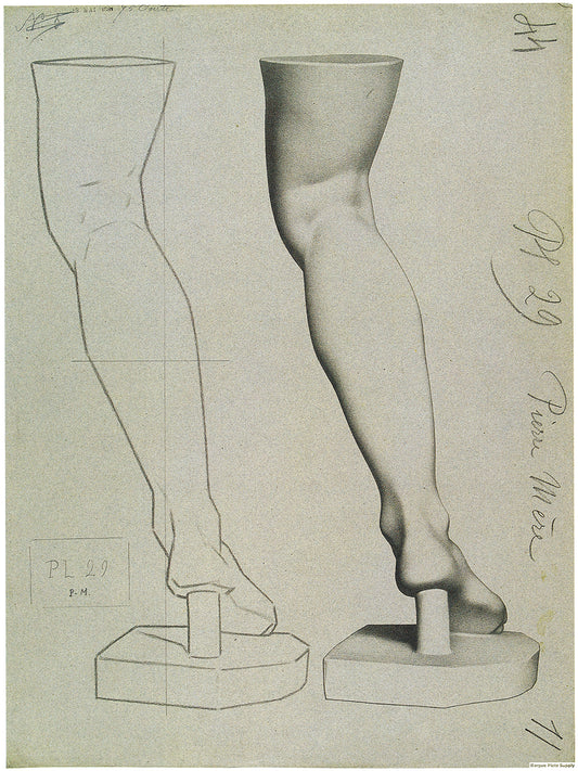 Bargue Plate 1, 29. Leg of the Medici Venus (Jambe de la Vénus de Médicis)