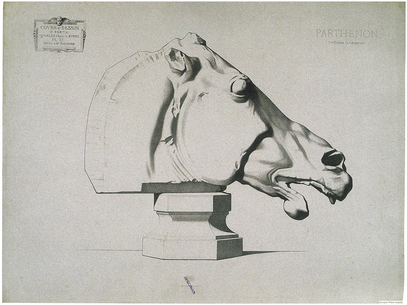 Bargue Plate 1, 37. Head of a Horse, Parthenon (Tête de Cheval, Parthénon)