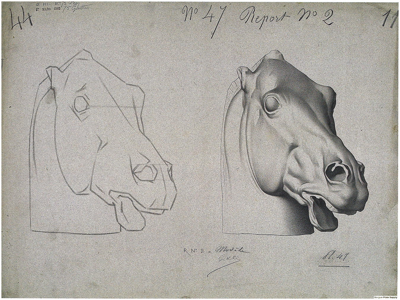 Bargue Plate 1, 47. Head of a Horse (Tête de Cheval)