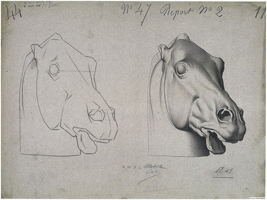 Bargue Plate 1, 47. Head of a Horse (Tête de Cheval)