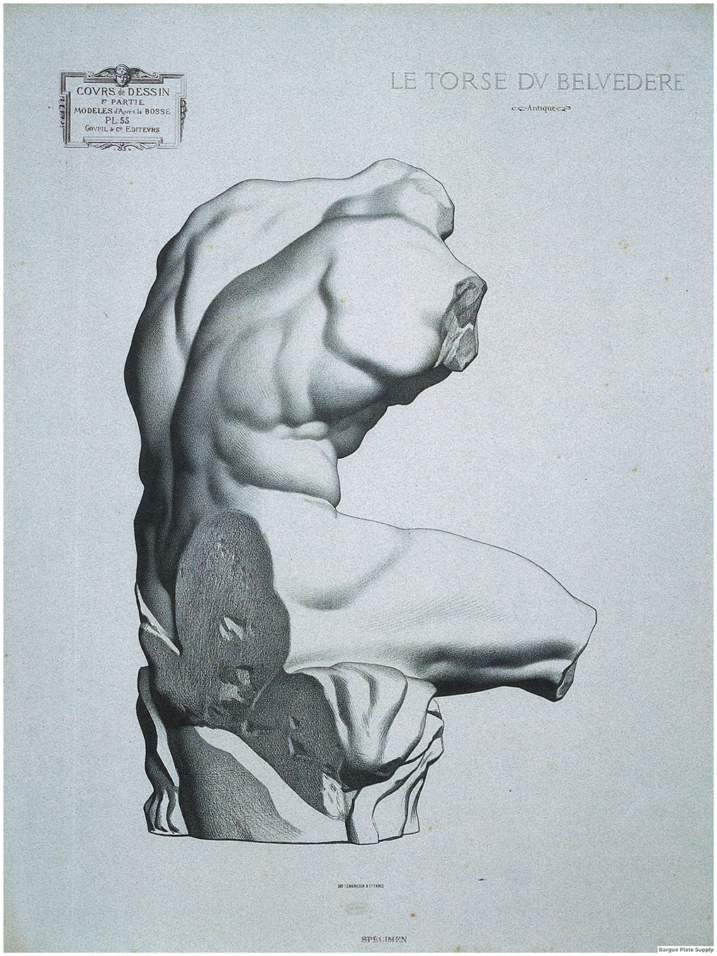 Bargue Plate 1, 55. The Belvedere Torso, Rear View (Le Torse du Belvédère, Vu de Dos)