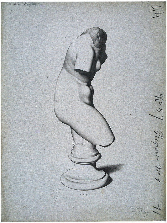 Bargue Plate 1, 57. Female Torso, Three-Quarter View (Torse de Femme, Vu de Trois Quarts)