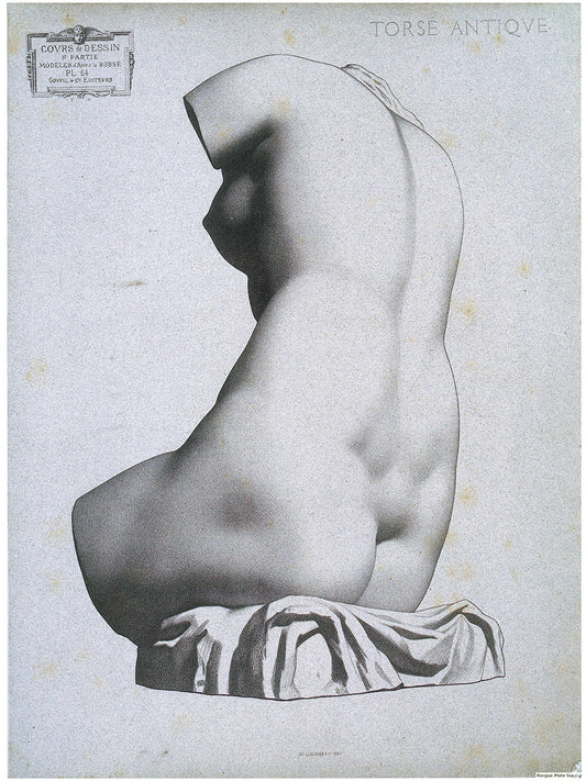 Bargue Plate 1, 64. Female Torso, Rear View (Torse de Femme, Vu de Dos)